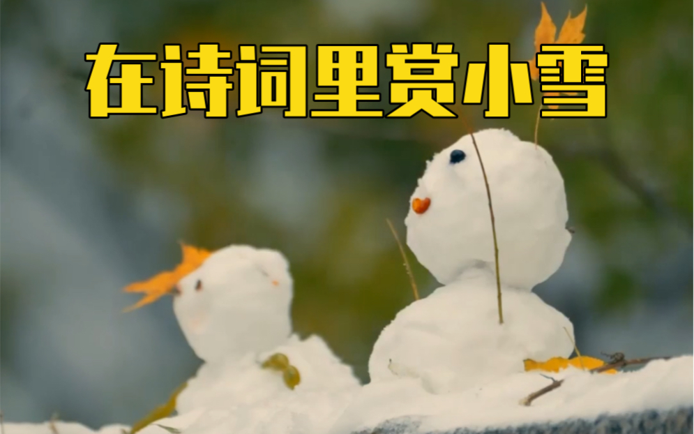 小雪至!在诗词里赏小雪,一起作别秋色!哔哩哔哩bilibili