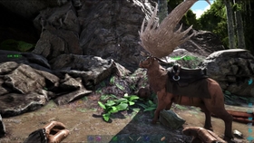 方舟生存进化 当方舟里恐龙数量增加500倍会出现什么情况 哔哩哔哩 つロ干杯 Bilibili