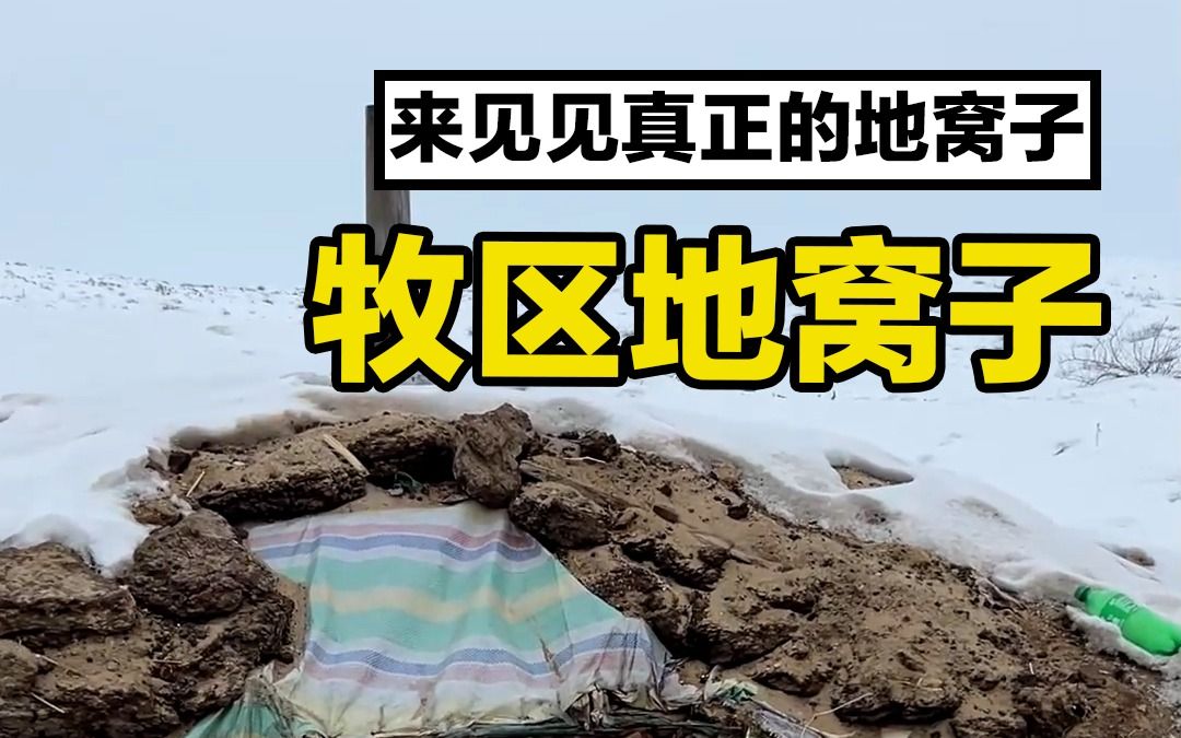 [图]带你去见见牧区的地窝子。