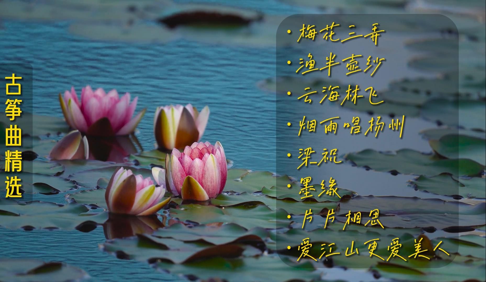 古筝曲精选,云海林飞半壶纱,超好听古风纯音乐推荐欣赏聆听