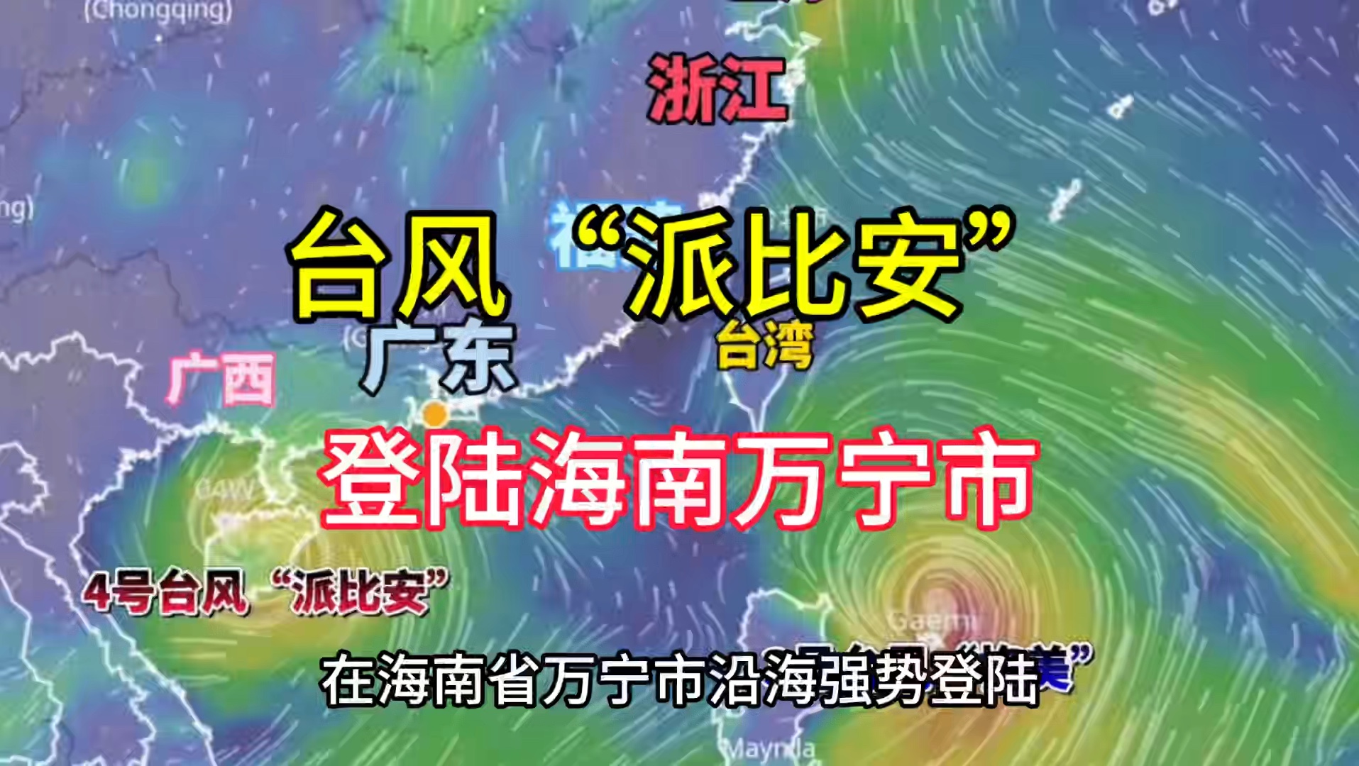 第4号台风派比安登陆海南万宁市,风力十级树木被连根拔起哔哩哔哩bilibili