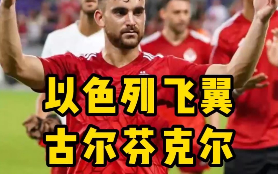 成都蓉城新援巡礼——以色列飞翼,古尔芬克尔