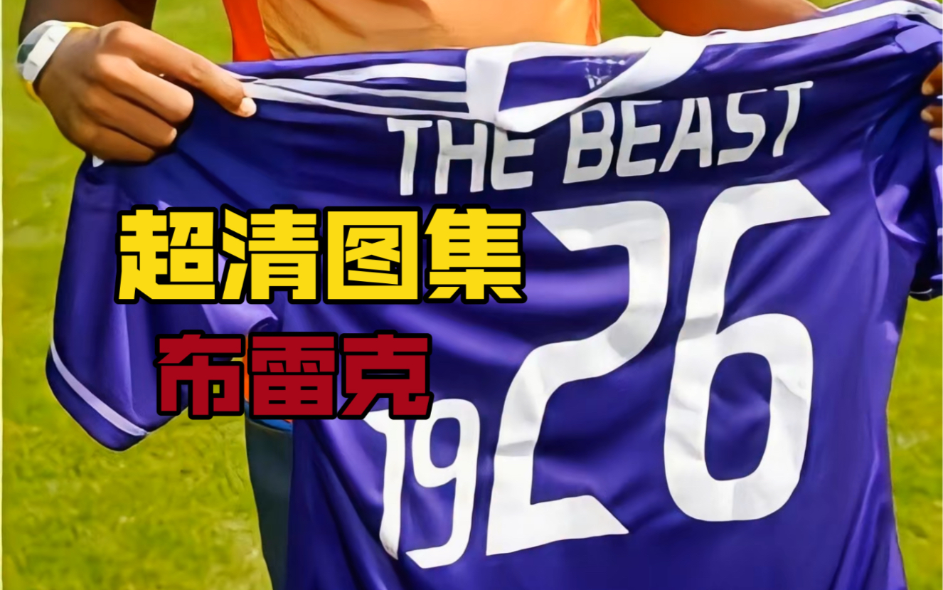 【稀有】布雷克超清图集!!!! The Beast哔哩哔哩bilibili