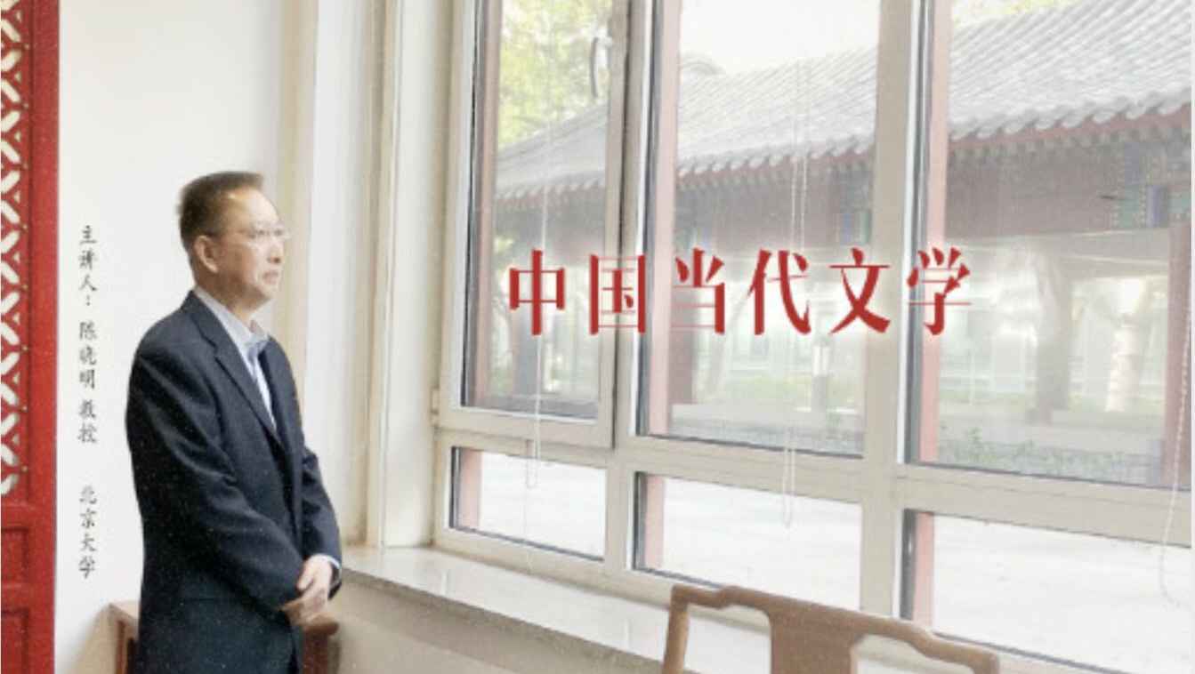 中国当代文学  北京大学(国家精品课)哔哩哔哩bilibili