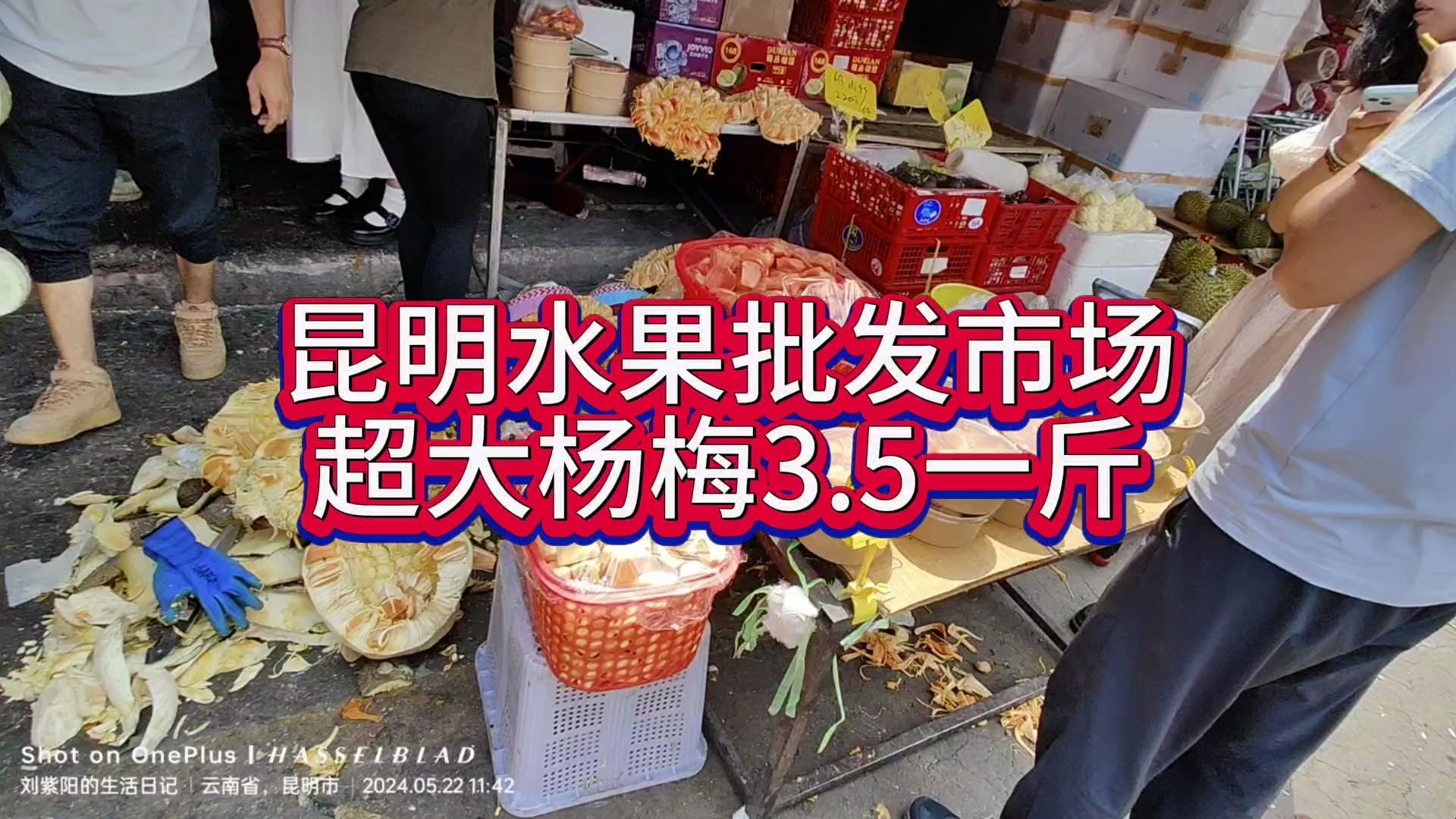 昆明水果批发市场,超大杨梅3.5 一斤