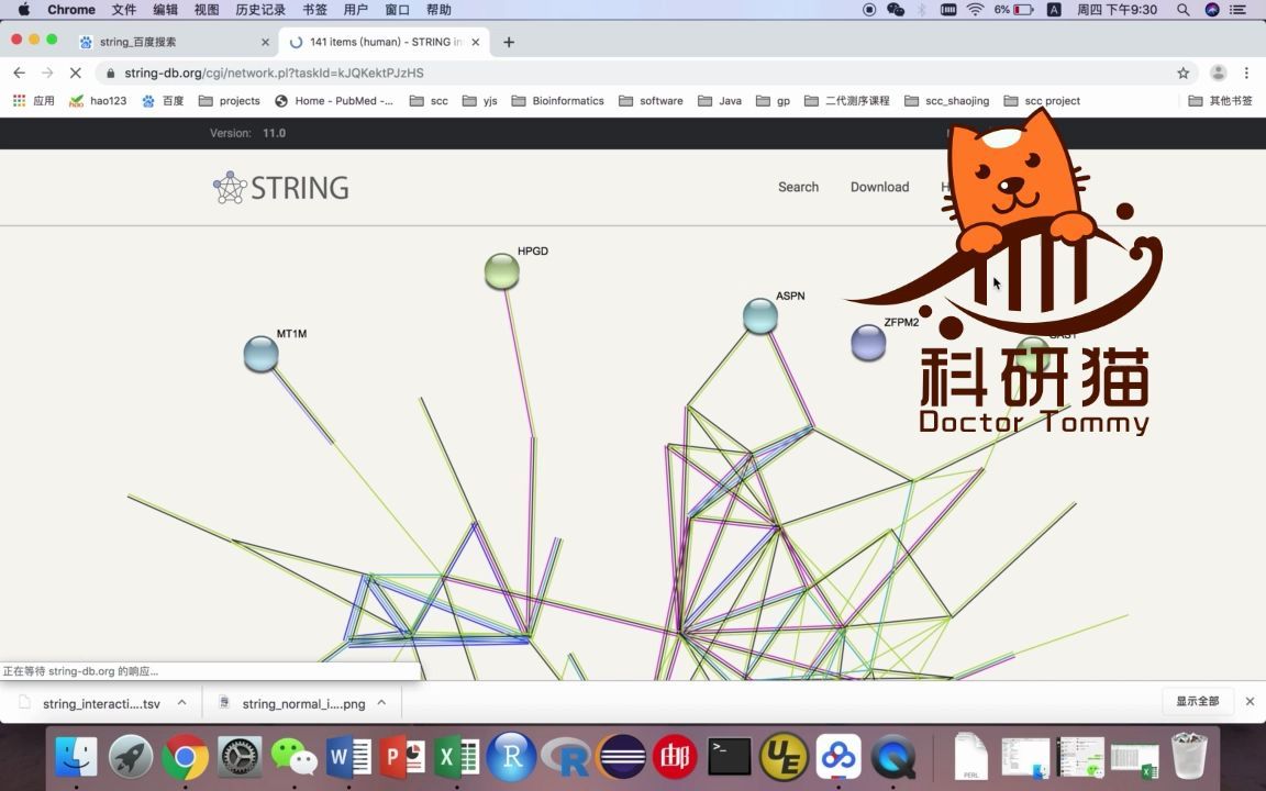 如何从一堆基因构建一个蛋白互作网络哔哩哔哩bilibili