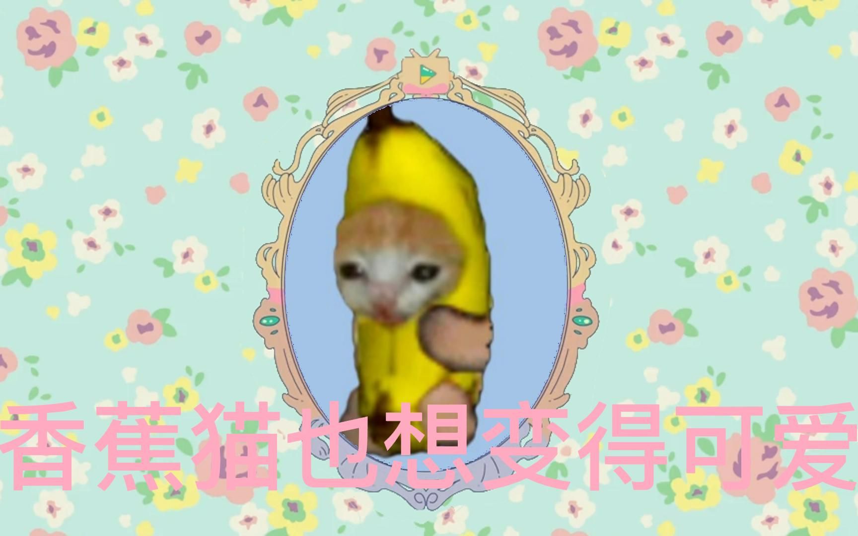 香蕉猫也想要变得可爱!