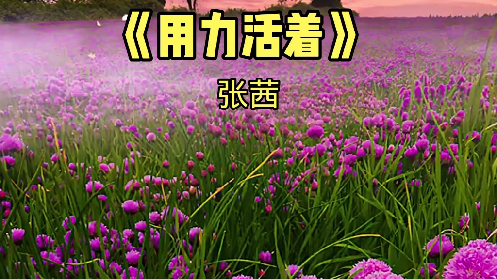都是生活所迫,我们大家都在努力活着,用力生活_哔哩哔哩_bilibili