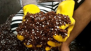 盆栽土壤介绍 配制松软透气的盆栽土 哔哩哔哩 つロ干杯 Bilibili