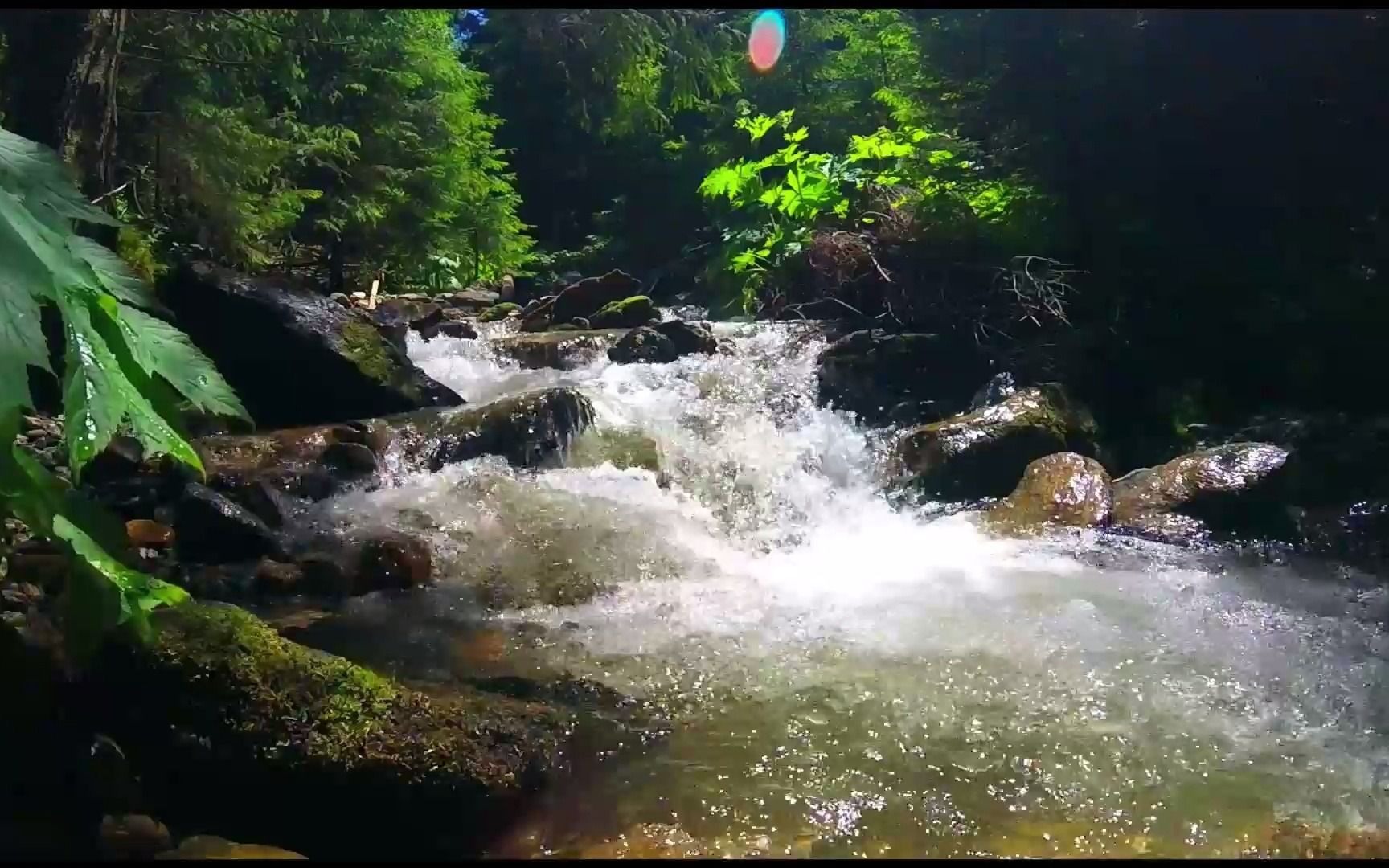 山间野外森林流水声