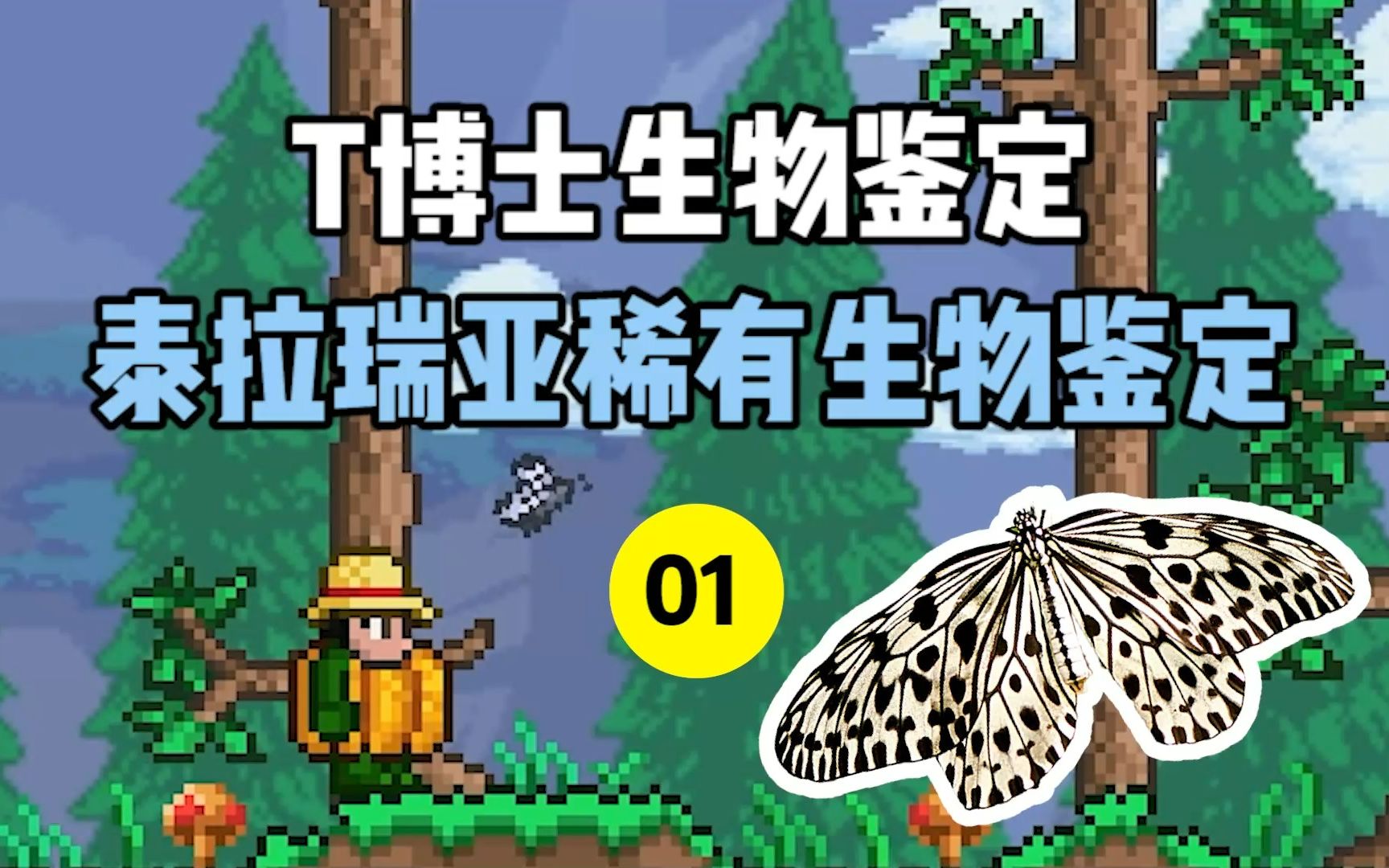 [图]泰拉瑞亚稀有生物鉴定01