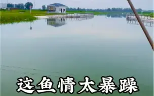 Descargar video: 这鱼情太暴躁了