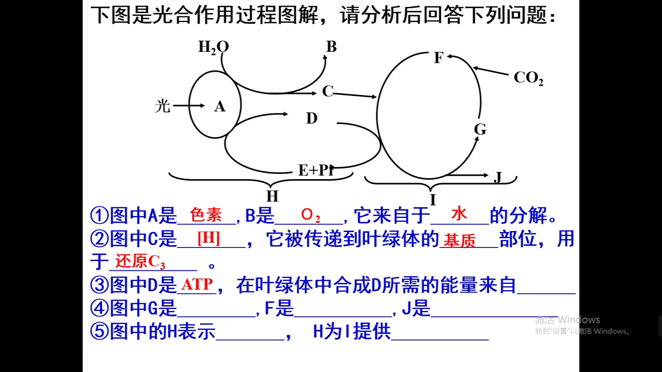 [图]光合作用的过程以及化能合成作用