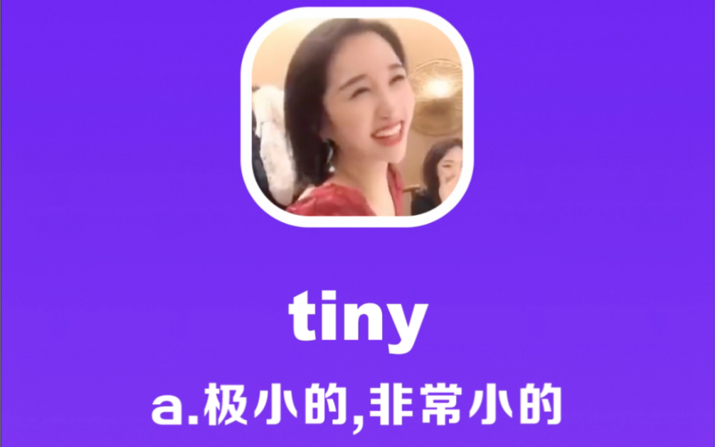 tiny:极小的,非常小的哔哩哔哩bilibili