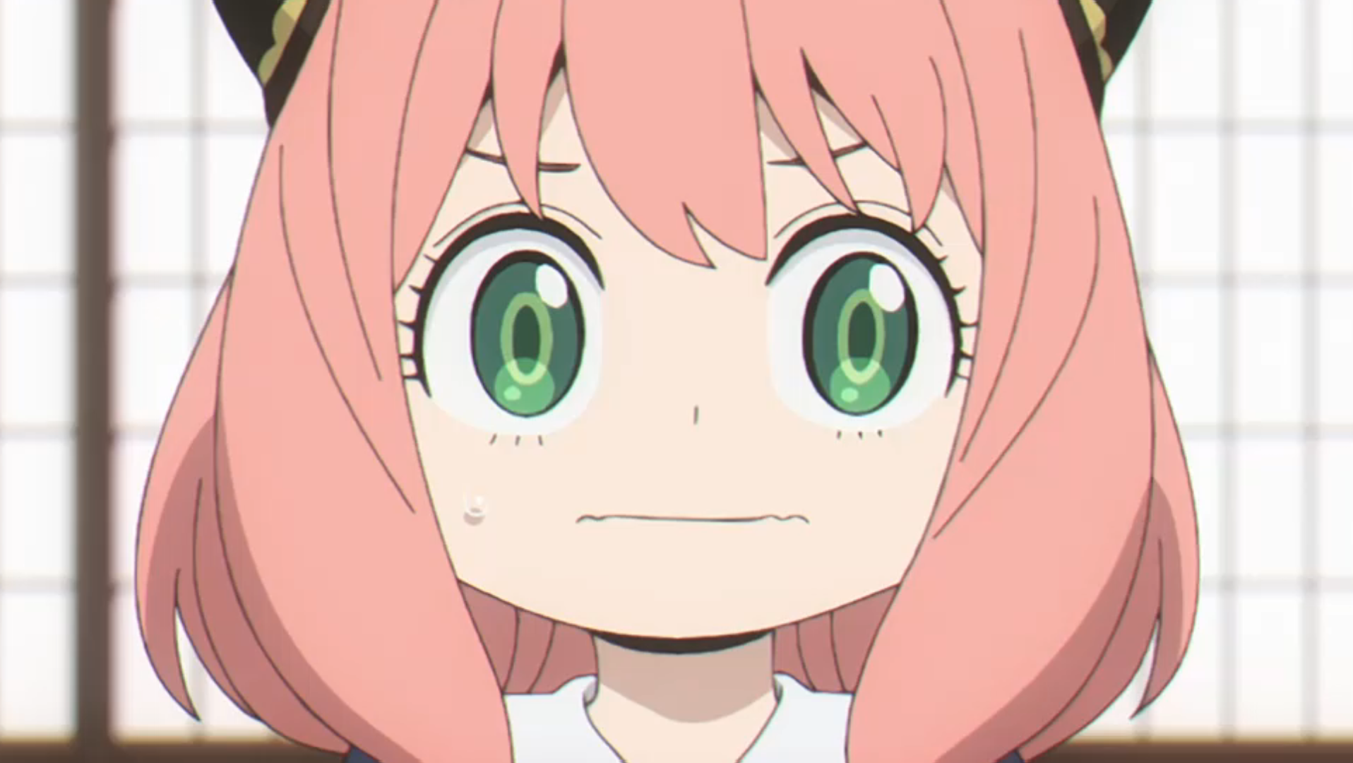 阿尼亚酱_哔哩哔哩_bilibili