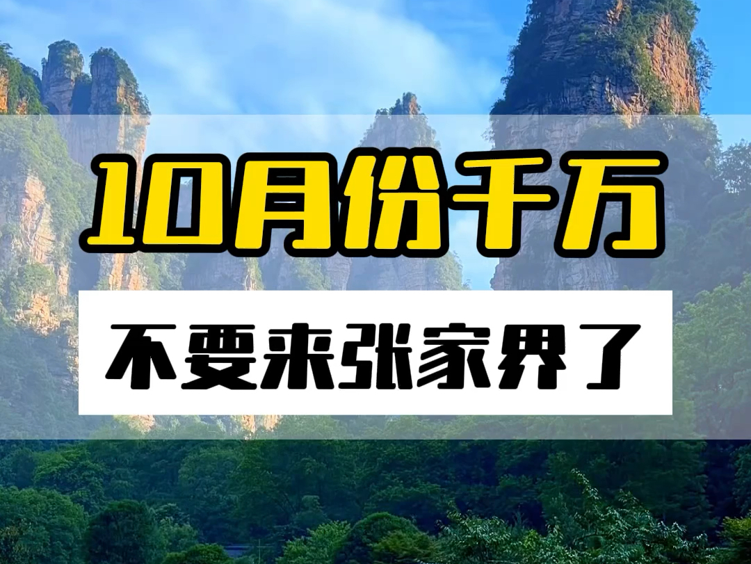 10月份千万不要来张家界,如果你一定要来,看完这个视频再出发吧!#张家界旅游 #张家界旅游推荐 #张家界旅行攻略哔哩哔哩bilibili