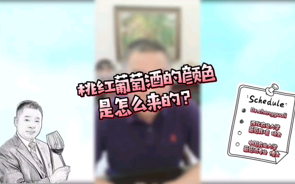 桃红葡萄酒的颜色是怎样来的呢?哔哩哔哩bilibili