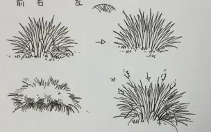 Télécharger la video: 草的线稿的画法，哪位同学要看草的画法的赶紧收藏哦！