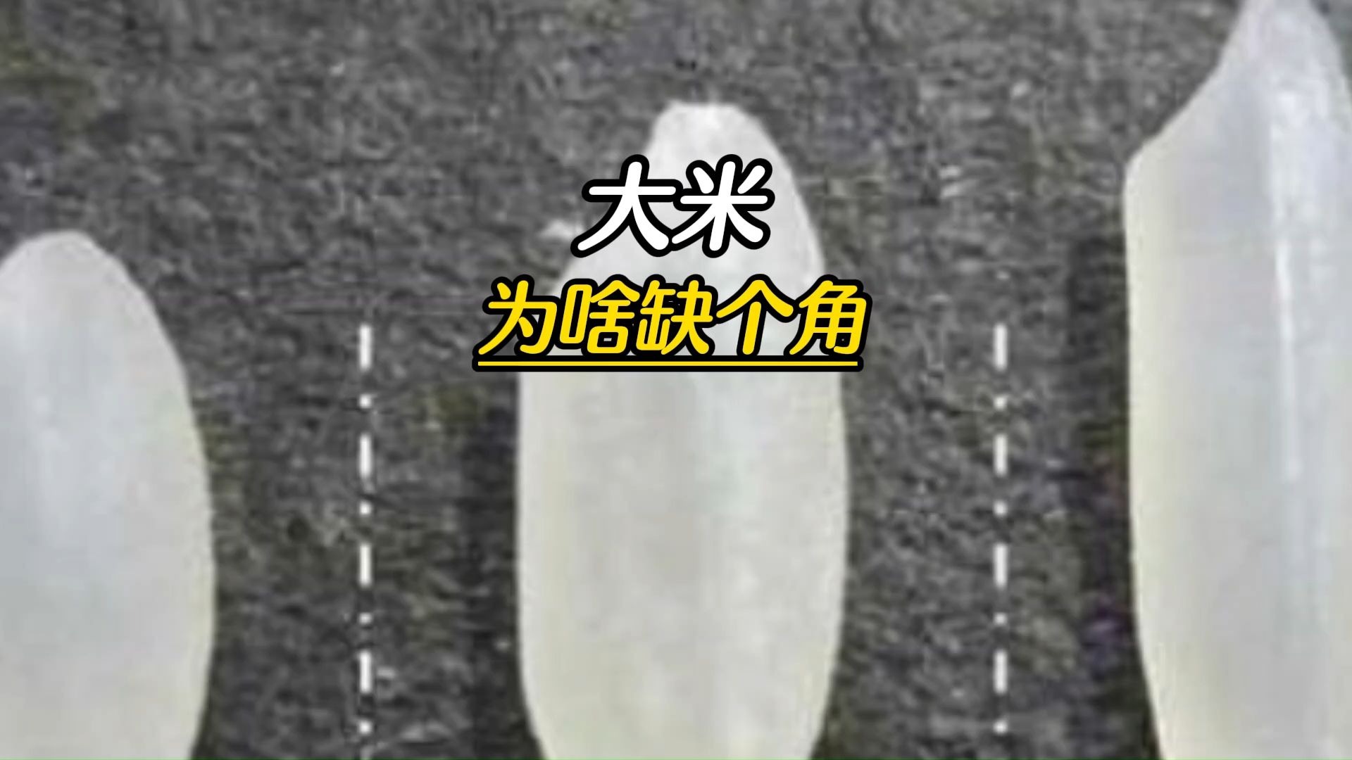 你吃的大米为啥缺个角