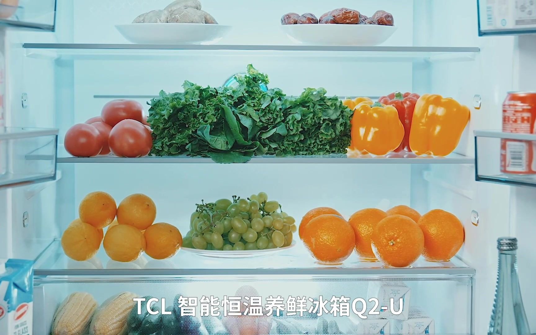 TCL大容量冰箱好不好?哔哩哔哩bilibili