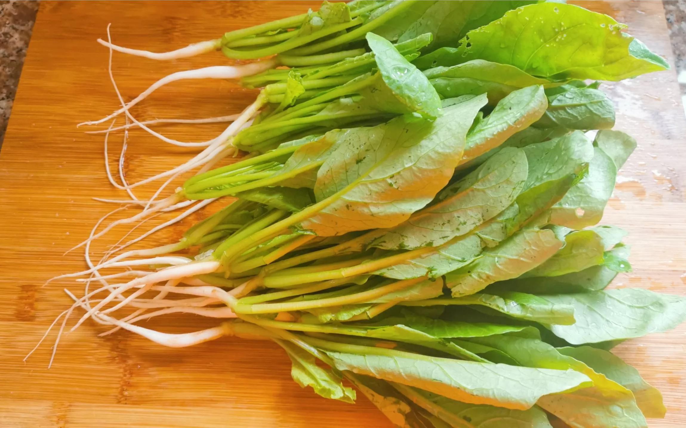 这样做的萝卜菜苗你吃过吗?营养美味,好吃下饭,上桌最受欢迎