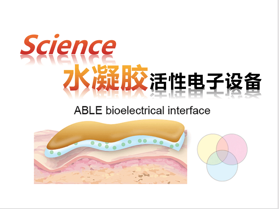 【Science】活性生物集成电子(崔雪)241020哔哩哔哩bilibili