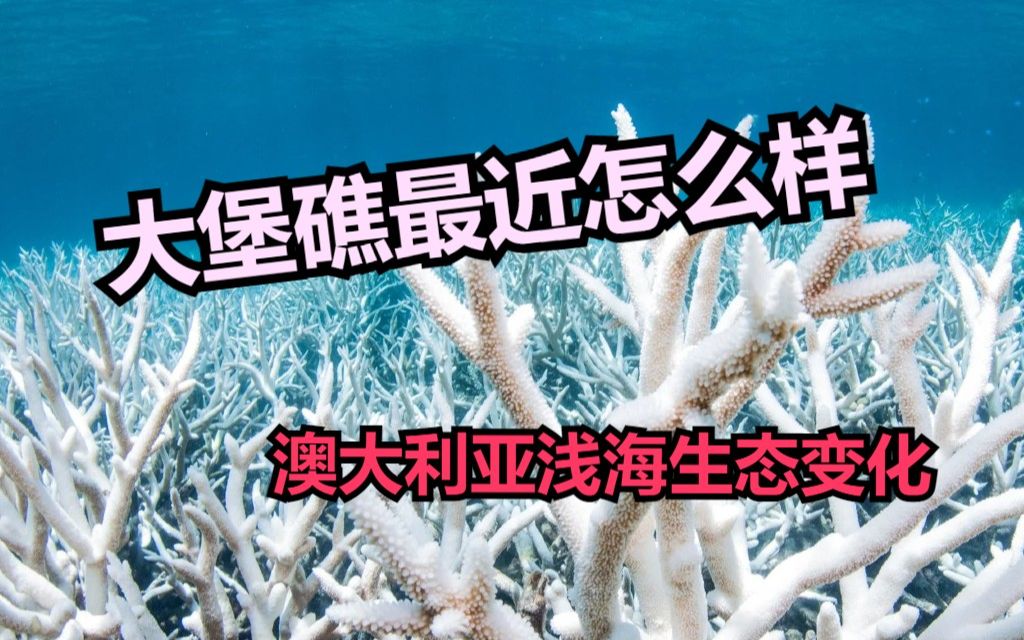 【Nature】近年来澳大利亚浅海生态系统在环境变化下的改变哔哩哔哩bilibili