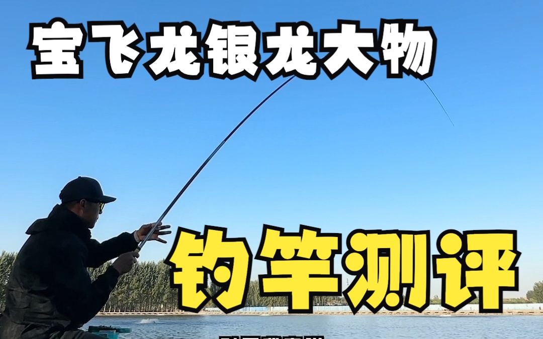 老牌国内钓竿的“龙头”企业,推出的“年轻”轻量大物竿,会有怎样的表现?宝飞龙银龙大物测评哔哩哔哩bilibili