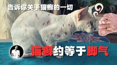 【羲和】<em class="keyword">猫癣</em>等于脚气？告诉你<em class="keyword">猫癣</em>的一切