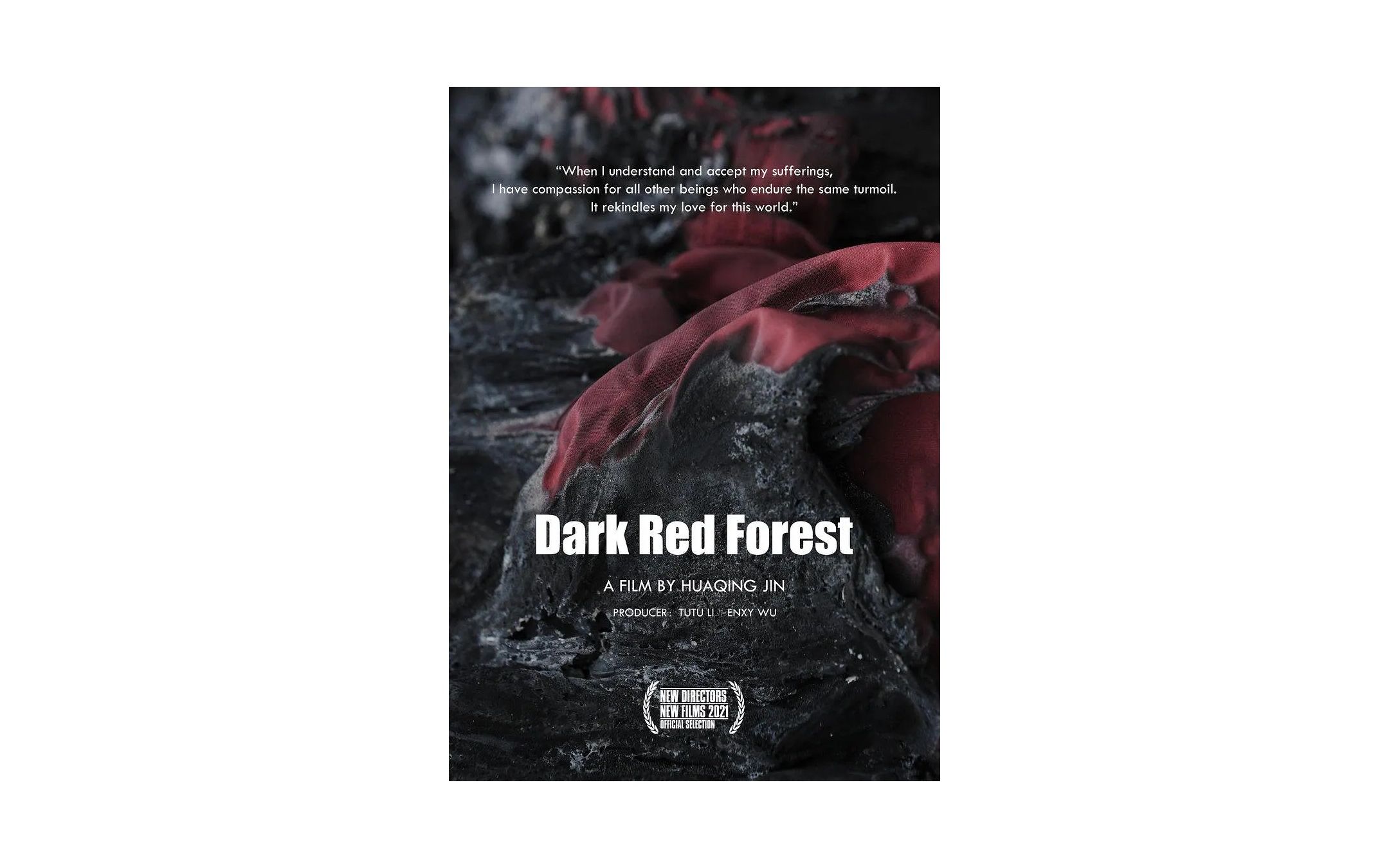 绛红森林 Dark Red Forest 2021  金华青哔哩哔哩bilibili