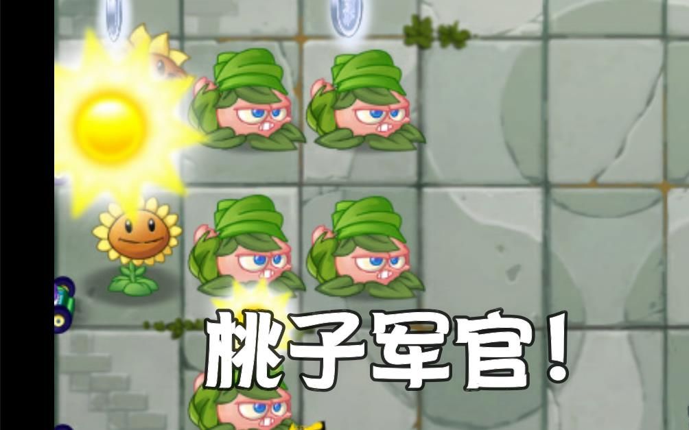 植物大战僵尸tct版最新版新植物桃子军官试玩附下载方式