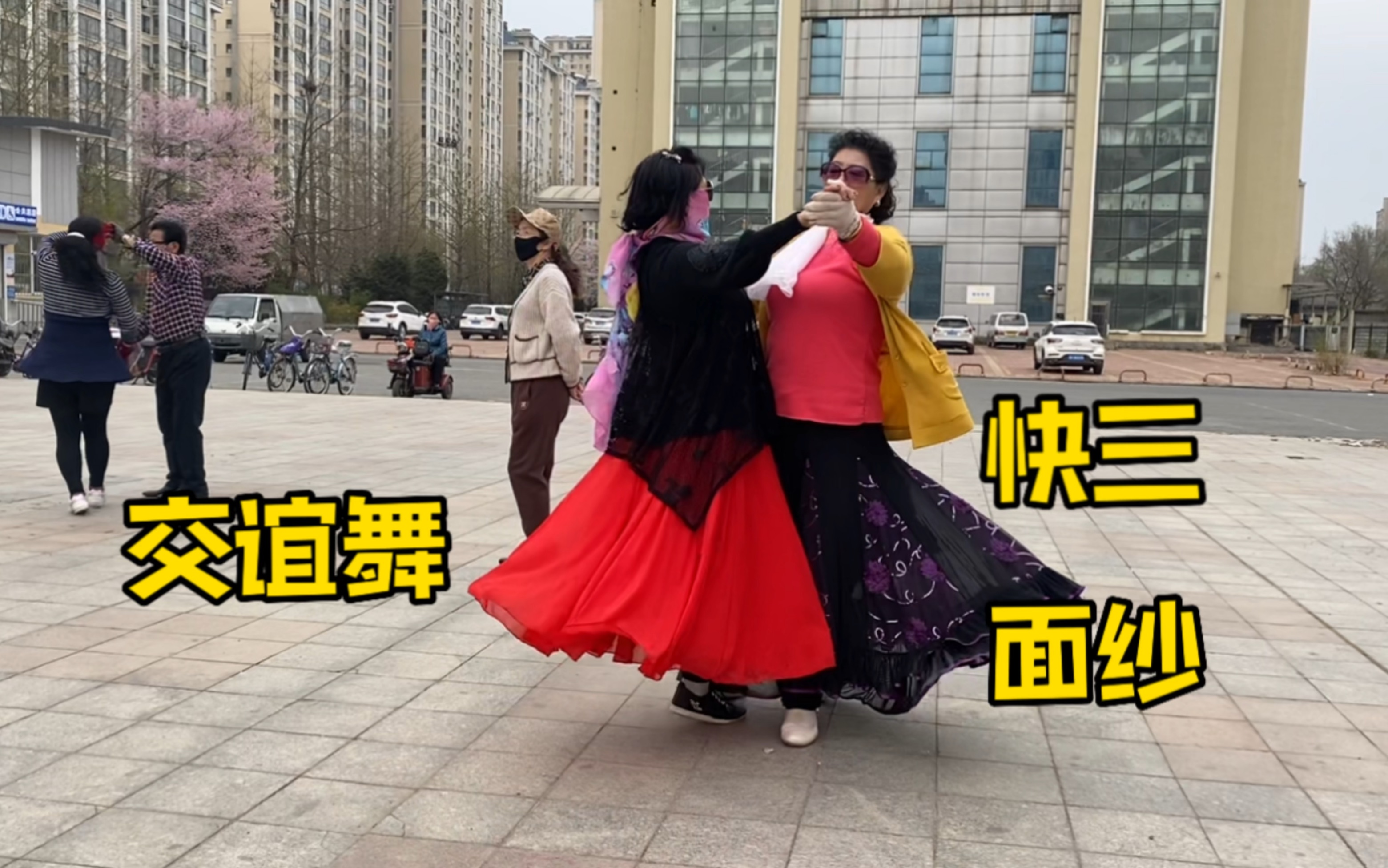 三步花样交谊舞大全图片