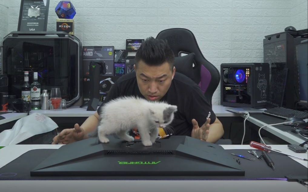 【装机猿】有喵慎入!我拆了一台全新显示器 里