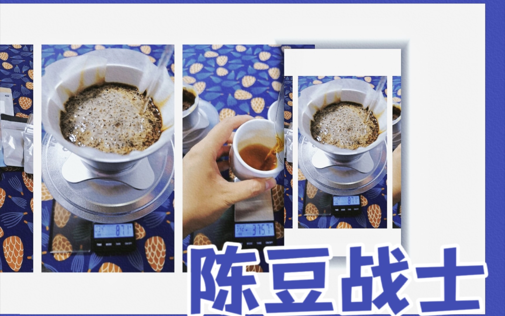 谁说陈豆不能喝