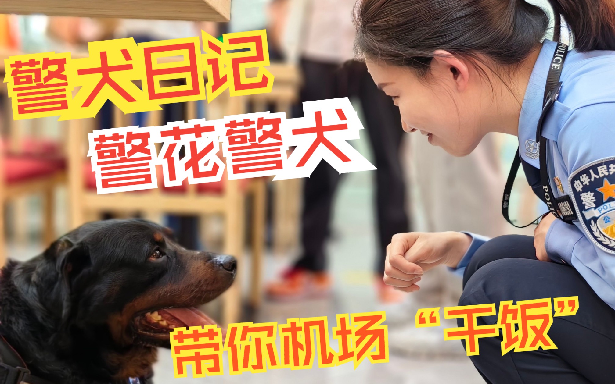 警犬日记 | 警花警犬带你机场“干饭”!哔哩哔哩bilibili