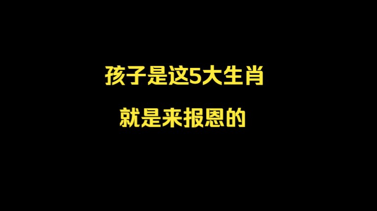 孩子是这5大生肖,就是来报恩的,不用父母操心,迟早有出息哔哩哔哩bilibili