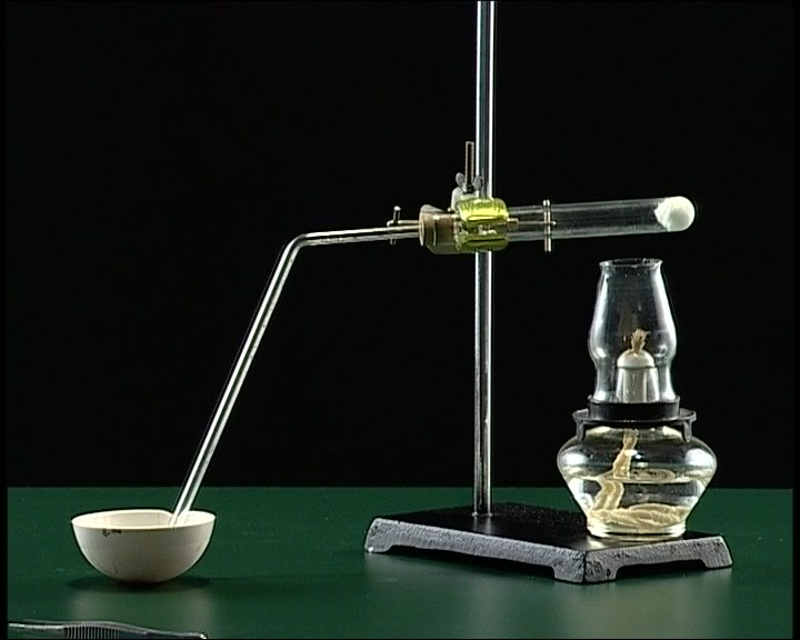 化学实验7铁与水蒸气反应