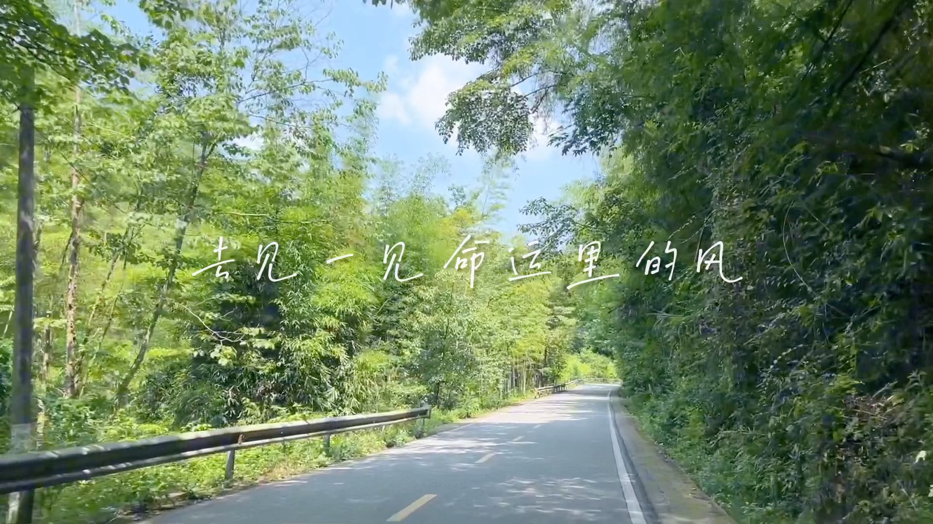 走啊,少年,去见一见命运里的风