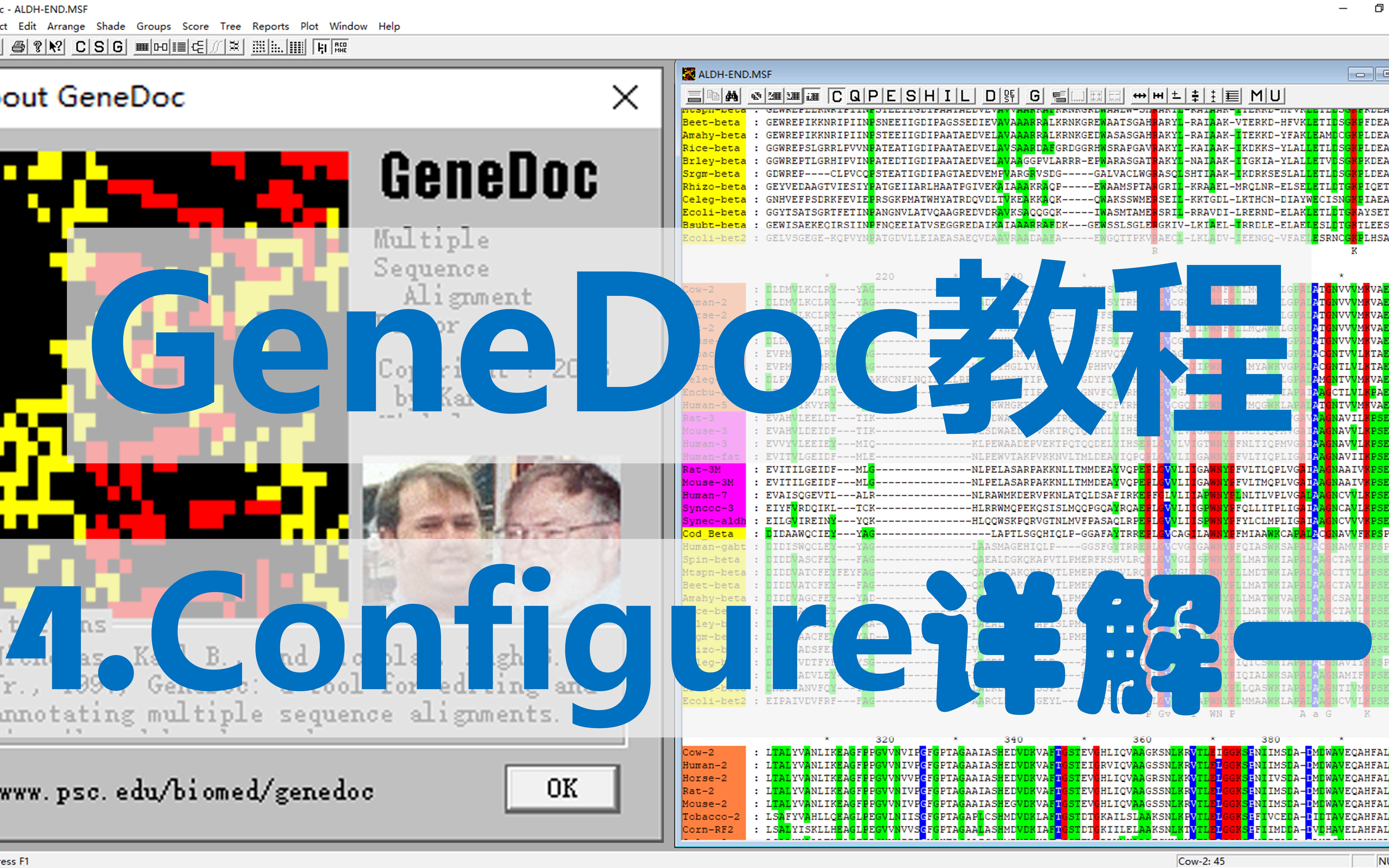 【四方居士】GD#4多序列比对美化软件GeneDoc项目参数配置一