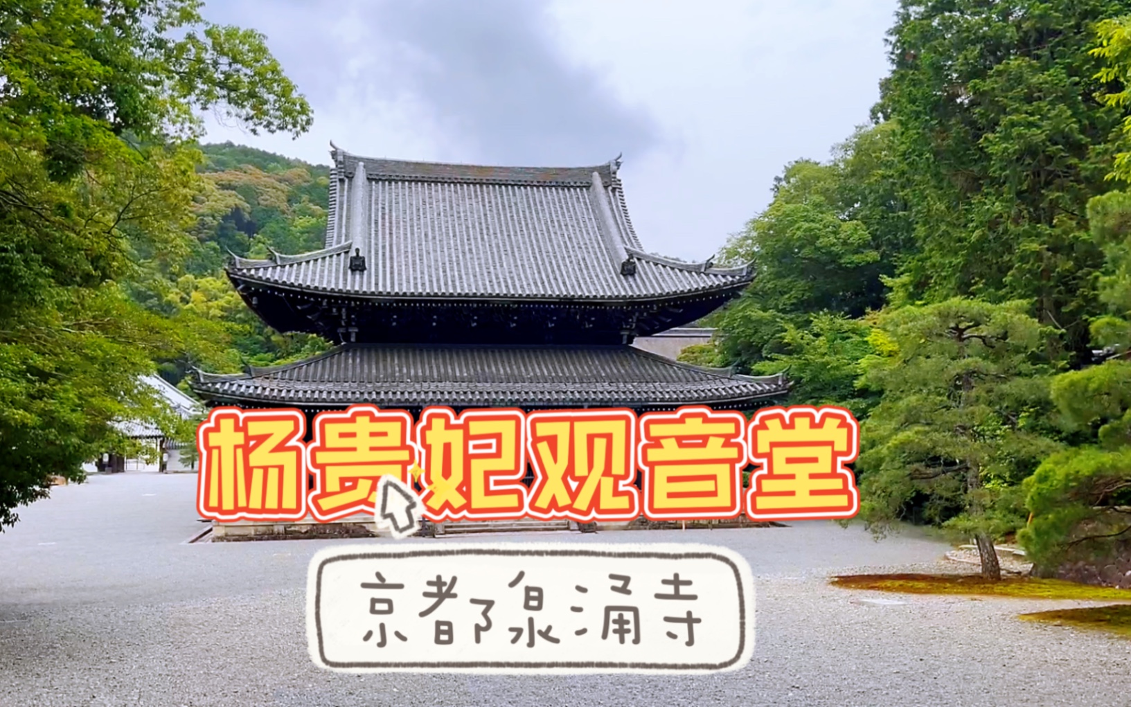 【京都泉涌寺】京都的杨贵妃观音堂|跟着老温云旅游|雨中的京都佛寺哔哩哔哩bilibili