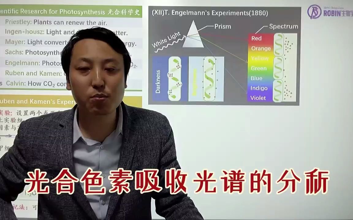 99光合色素吸收光谱的分析 高中生物 必修一 第5章哔哩哔哩bilibili