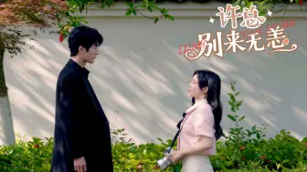 Download Video: 《许总别来无恙》全集