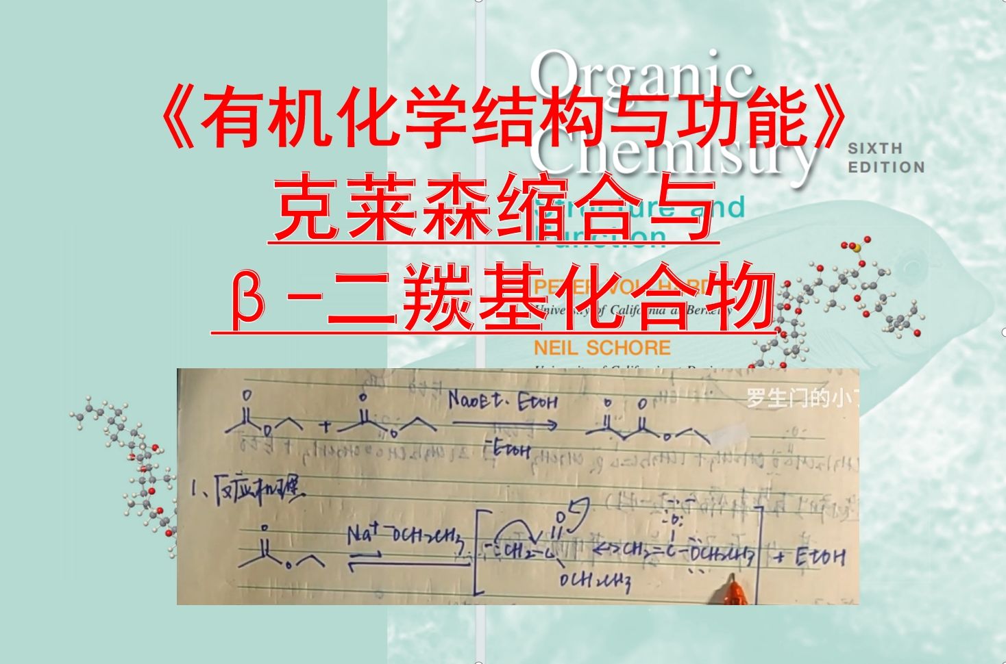 【有机化学结构与功能】第十三讲 克莱森缩合与Š二羰基化合物哔哩哔哩bilibili