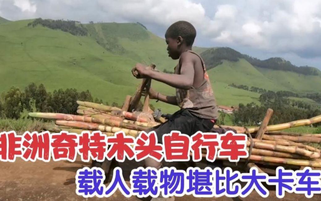 非洲奇特木头自行车,堪比汽车载人载物拉500斤菜,一辆车养全家