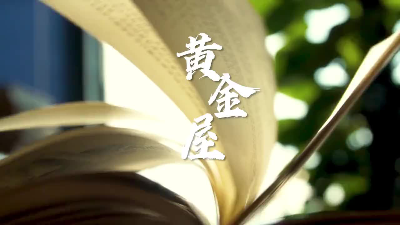 阅书读己书卷人生与黄金屋写人生书小提琴大提琴人人都有黄金屋钻