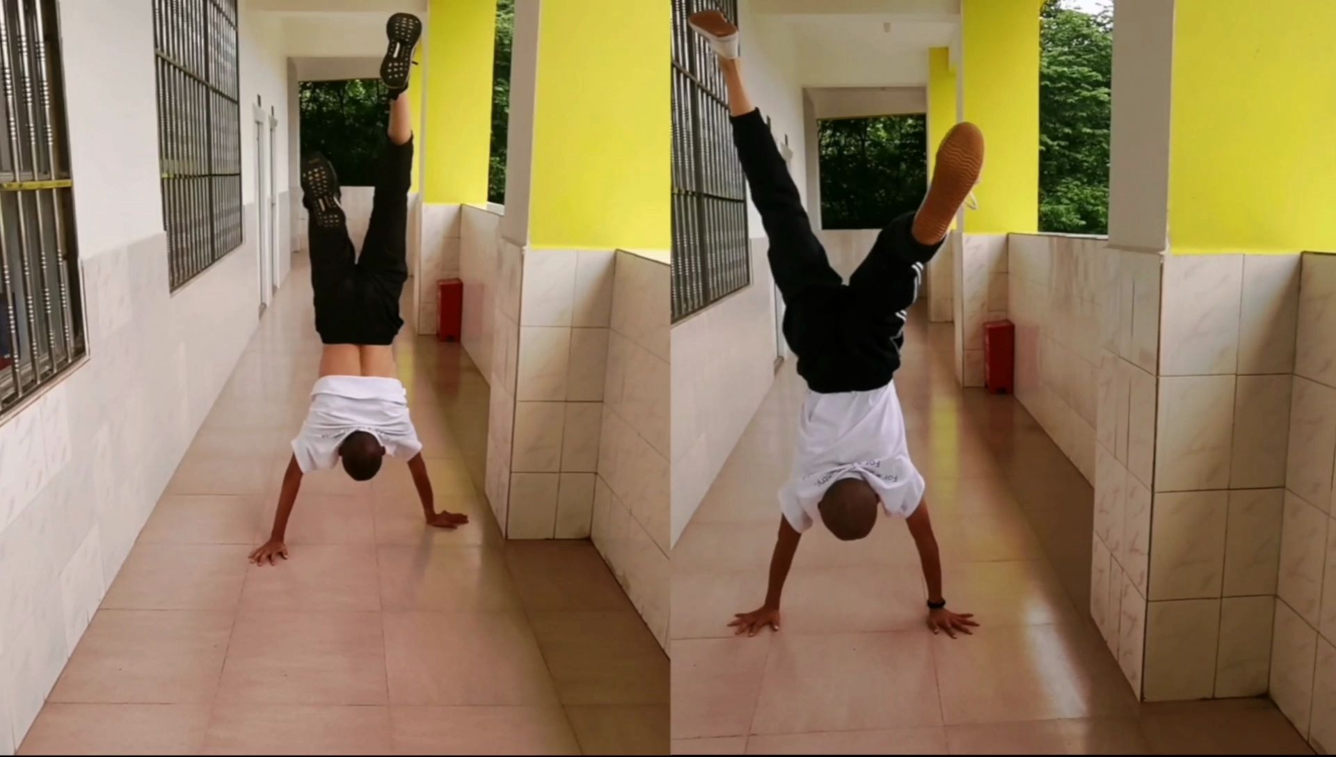 【高中班】模仿各类动物爬行:身体协调,动作奇特,快来一起学习吧