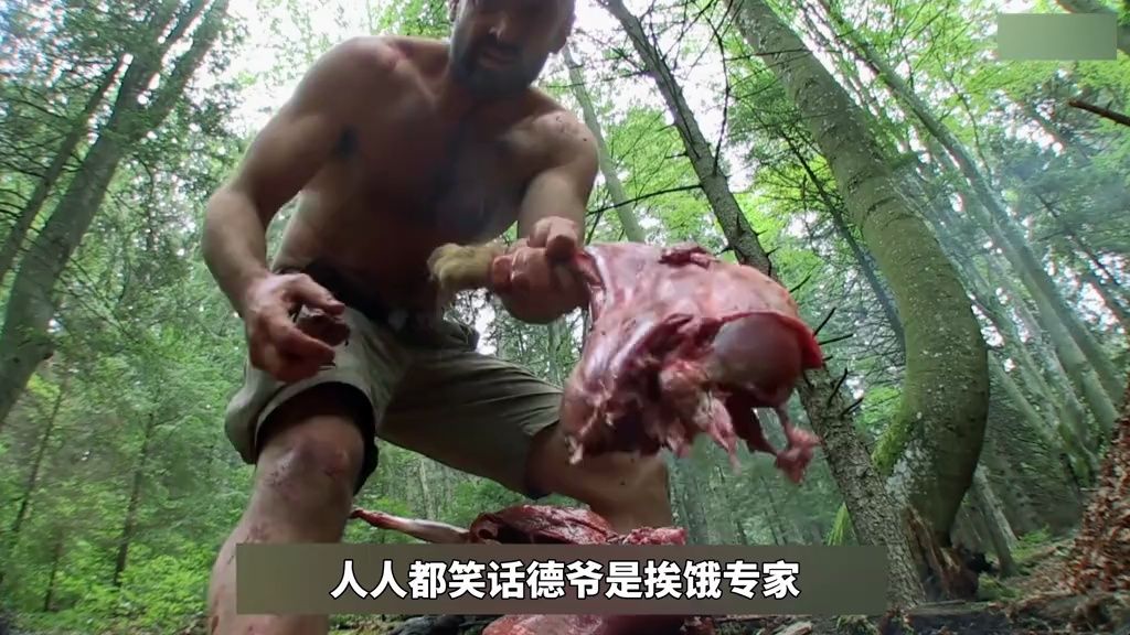 刷到我你小子算是走运了,一口气看完德爷单挑荒野第二季#荒野求生