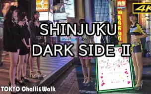 Download Video: 【4K】新宿欢乐街歌舞伎町