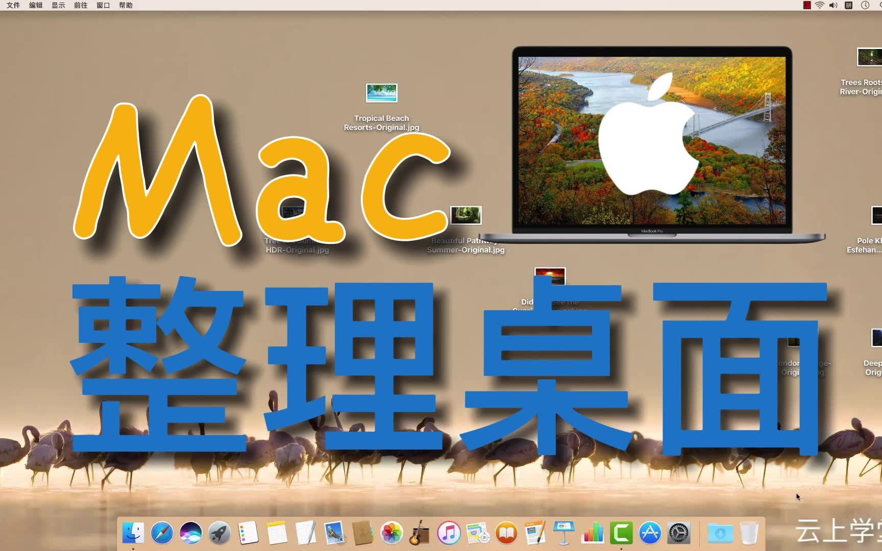 Mac整理桌面 学会这些技巧你的桌面不再凌乱!MacBook苹果电脑使用教程macOS系统哔哩哔哩bilibili