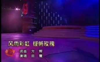 [图]田震经典歌曲现场版——《风雨彩虹铿锵玫瑰》致敬中国女足